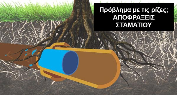 ΑΠΟΦΡΑΞΕΙΣ ΨΥΡΡΗ - ΡΙΖΕΣ ΔΕΝΔΡΩΝ
